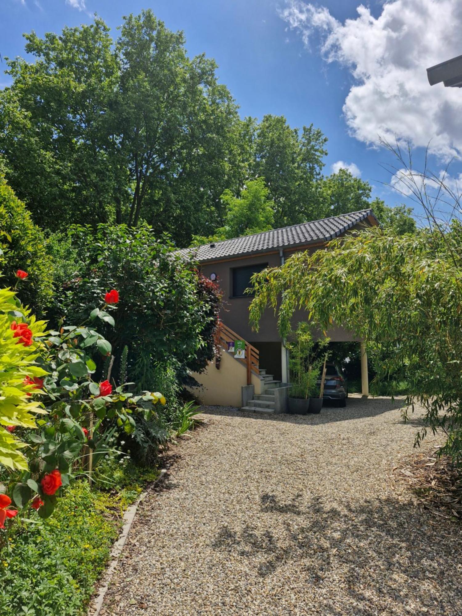 Gite-Appart Com' "Des Cimes Et Jardin" Illkirch-Graffenstaden Dış mekan fotoğraf